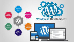 ' WordPress website design development ' 